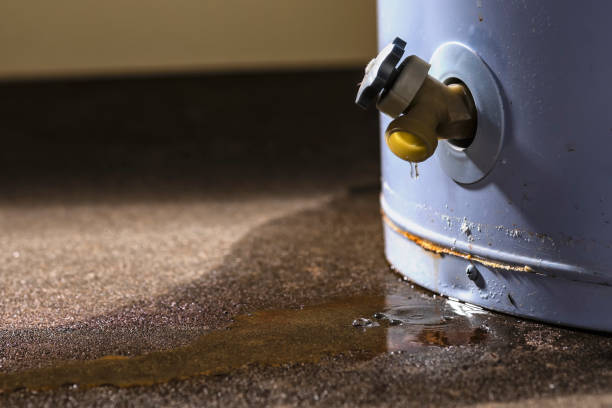 Best Water damage cleanup near me  in Woodsi East, DE