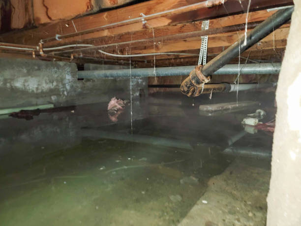 Best Emergency water damage restoration  in Woodsi East, DE