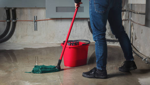 Best Water damage restoration insurance claims  in Woodsi East, DE