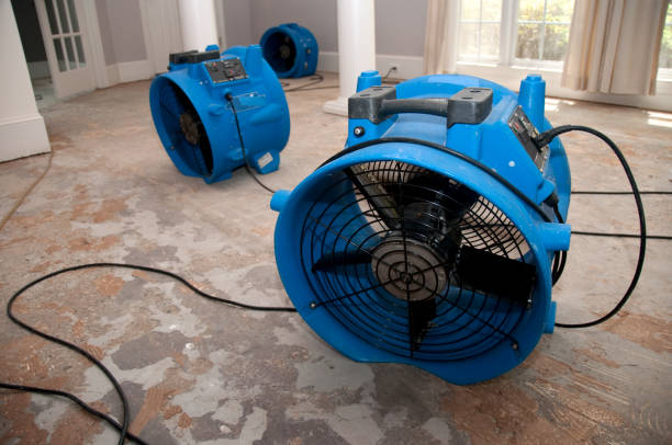 Carpet water damage restoration in DE