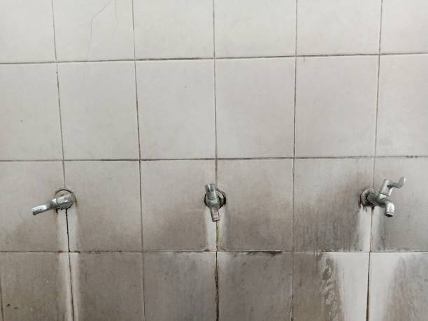 Best Commercial water damage restoration  in Woodsi East, DE