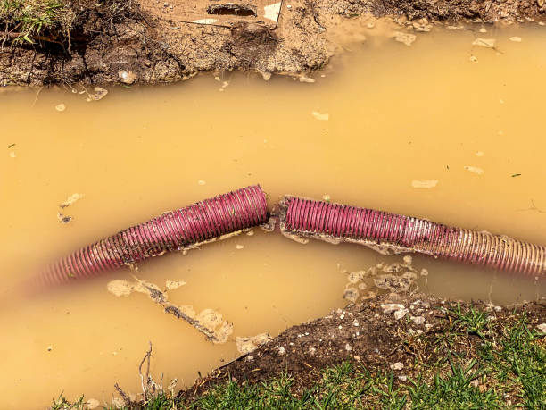 Best Flood damage cleanup  in Woodsi East, DE