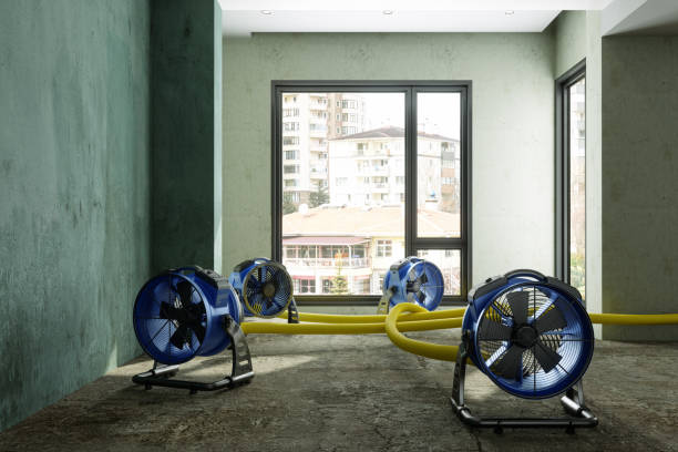 Best Water damage restoration near me  in Woodsi East, DE