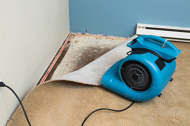 Reliable DE Water damage restoration Solutions